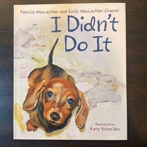I Didn’t Do It book